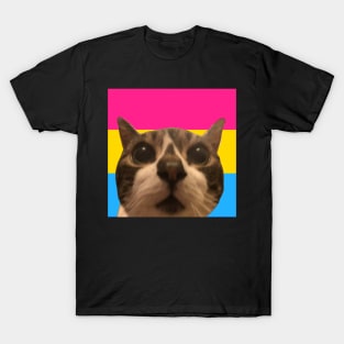 acrh  says pan rights T-Shirt